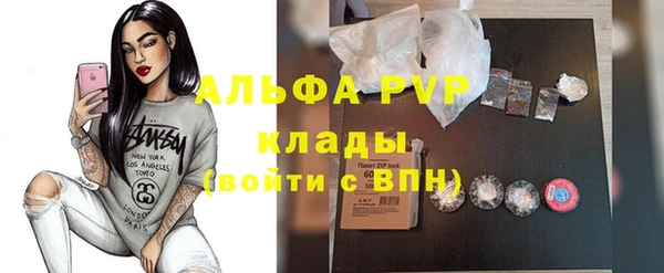 сатива Алзамай
